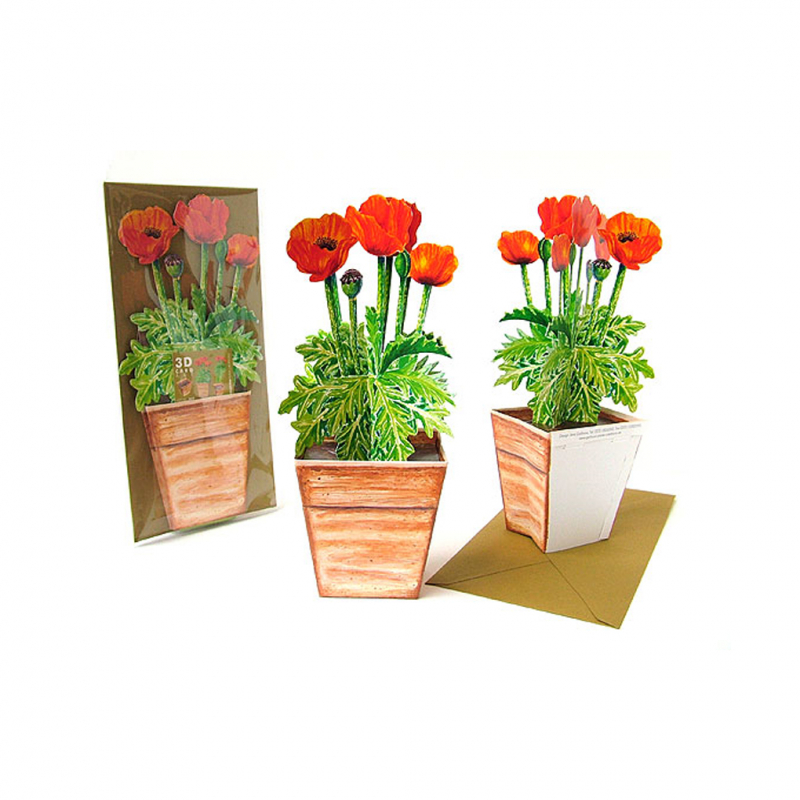 3D-Karte Mohnblumen - Set von 4 Karten